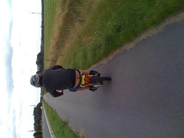 Suzuki Fz 50  billede 7