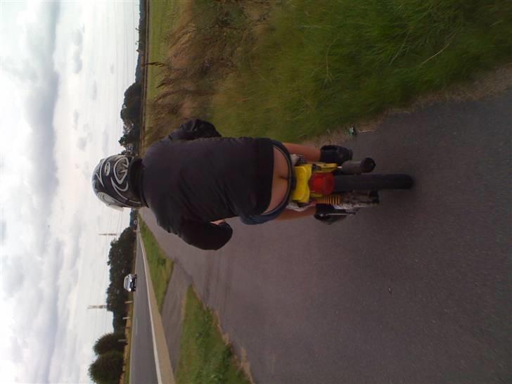 Suzuki Fz 50  billede 8