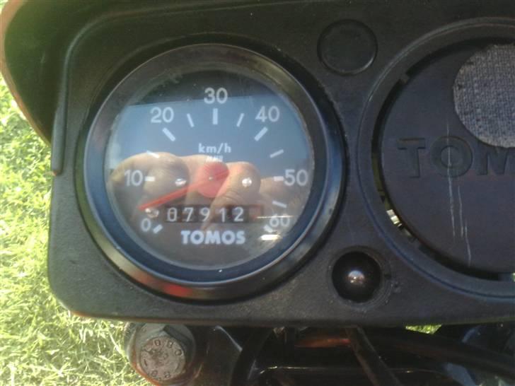 Tomos Quadro a-35 byttet  billede 7
