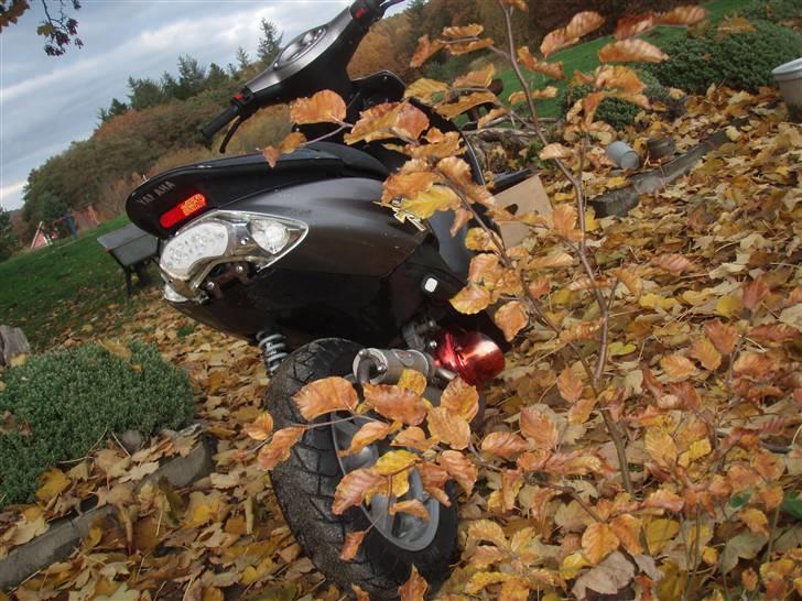 Yamaha Jog R billede 11