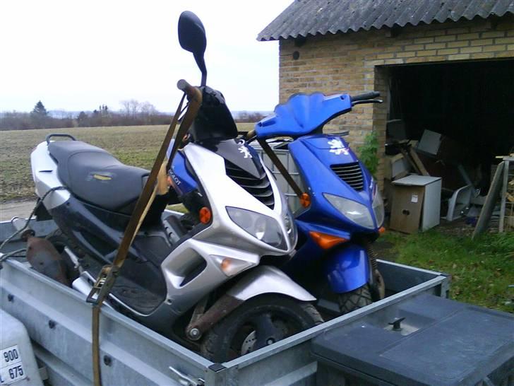 Peugeot Speedfight lc  SOLGT - der jeg hentet min speedfight kom min bror også lige med hjem billede 1