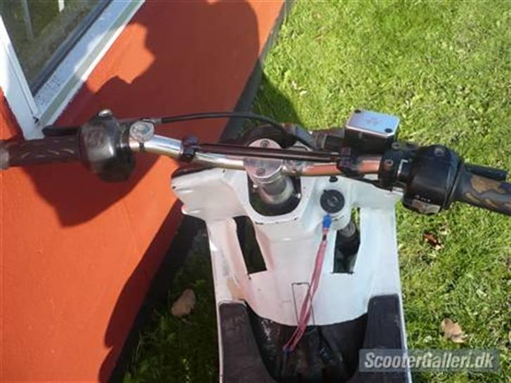 PGO Hot 50 [solgt] billede 2