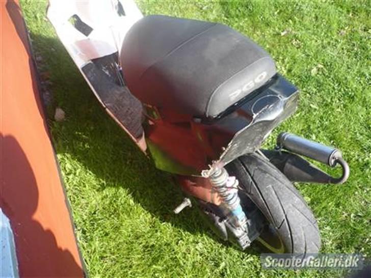 PGO Hot 50 [solgt] billede 4