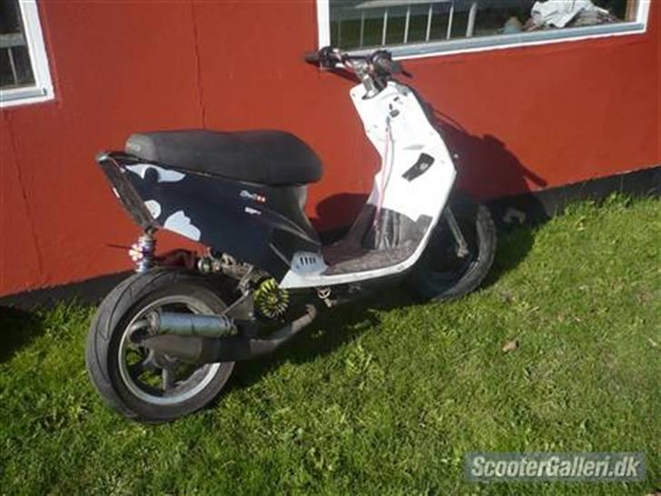 PGO Hot 50 [solgt] billede 5