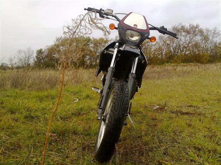 Gilera SMT 50 LC DD billede 5