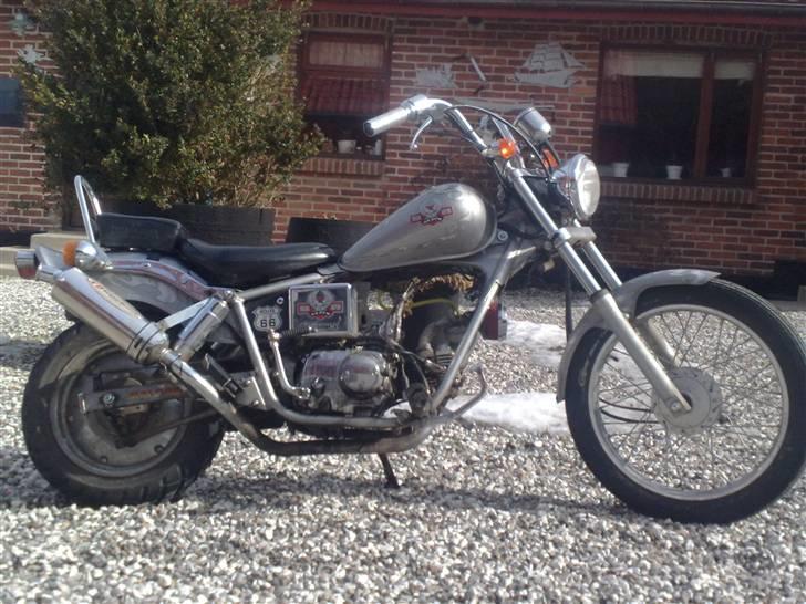 Regal Raptor v8 Solgt billede 1