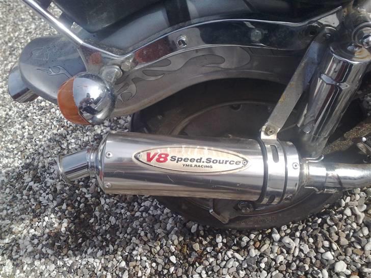 Regal Raptor v8 Solgt billede 2