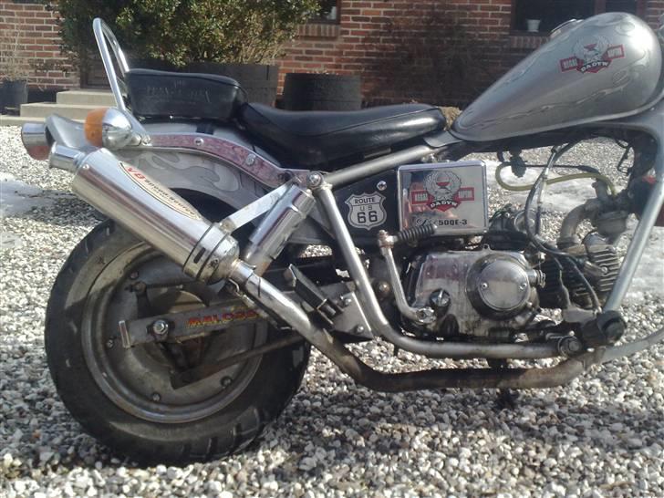 Regal Raptor v8 Solgt billede 4