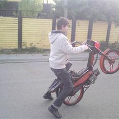 Puch Night Rider (Solgt)