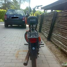 Puch Night Rider (Solgt)