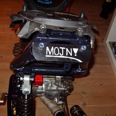 Aprilia Sonic TS rippet