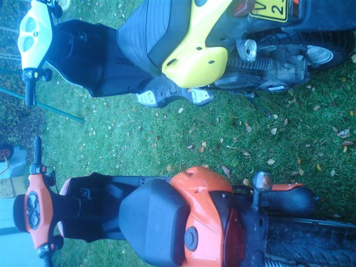 CPI Popcorn SOLGT billede 16