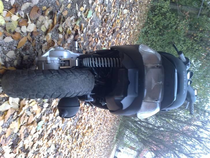 Gilera Stalker billede 20