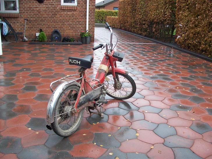 Puch maxi k ¤solgt¤ billede 4