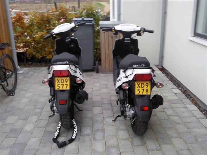 PGO hot 50 billede 1