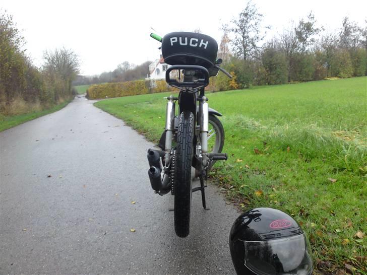 Puch maxi p1 Polini billede 5