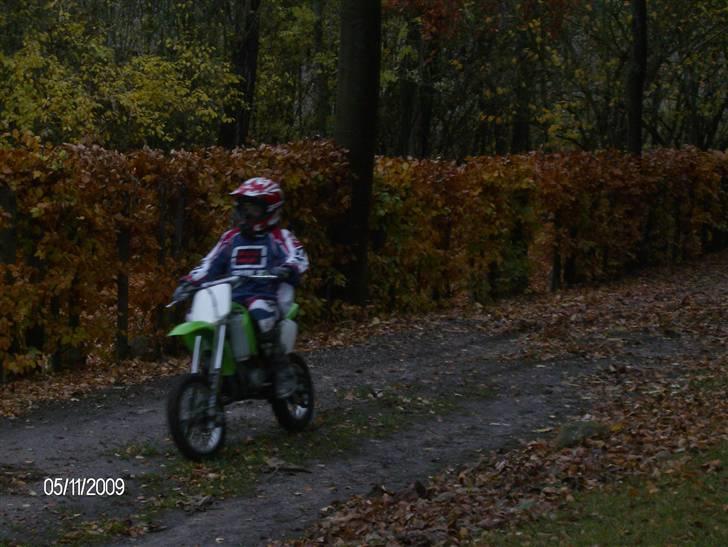 Kawasaki kx65 "Bambus Raketten" - Mig på jordvejen  billede 7