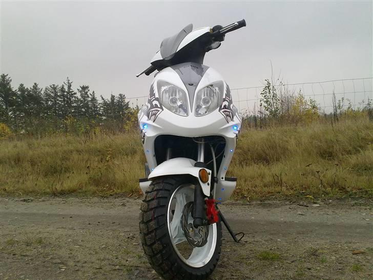 Giantco spartan (dioder) til salg billede 1