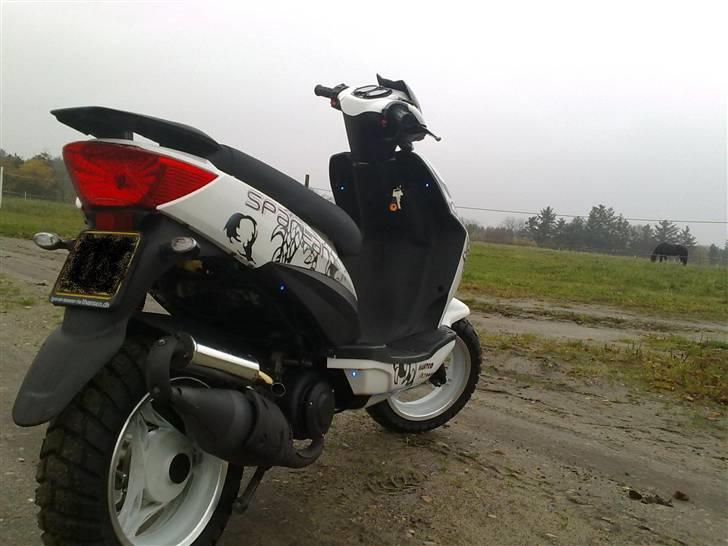 Giantco spartan (dioder) til salg billede 5