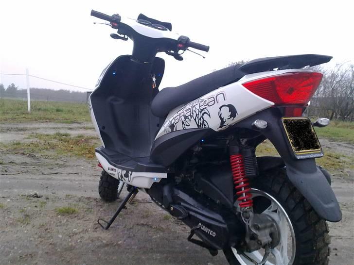 Giantco spartan (dioder) til salg billede 6