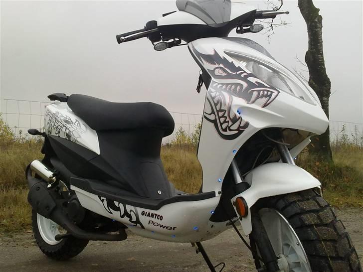 Giantco spartan (dioder) til salg billede 8