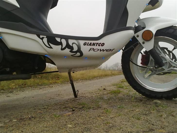 Giantco spartan (dioder) til salg billede 9