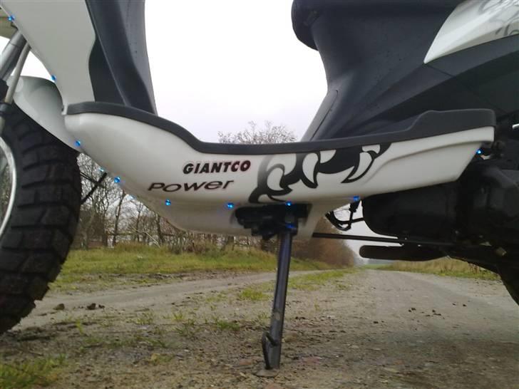 Giantco spartan (dioder) til salg billede 10