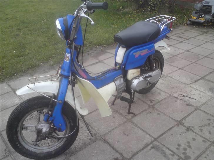 Suzuki fz byttet til hot billede 1