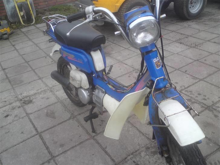 Suzuki fz byttet til hot billede 7