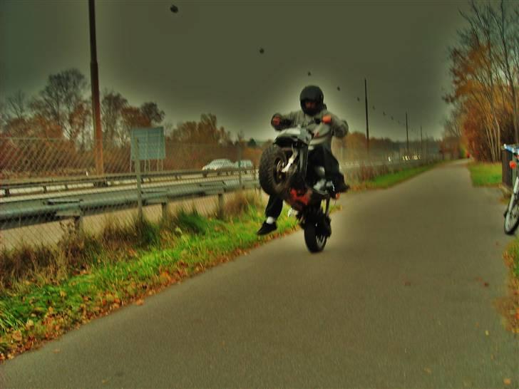 Aprilia  Rally (Solgt) - 15,73HK billede 15