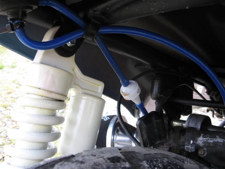 PGO Hot 50 billede 2