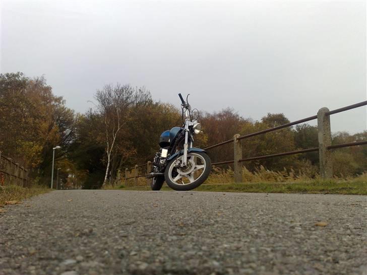 Texas street 50-4x 45( BYTTEDE) billede 7