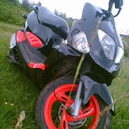 PGO Dr. Big [Byttet]