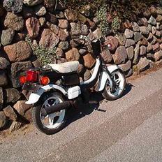 Suzuki FZ50 - SOLGT !