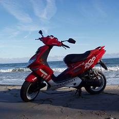 Peugeot wrc 206 || solgt ||