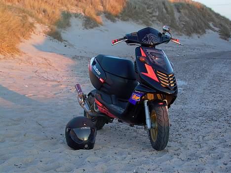 Aprilia                    SoniC - Min over dejlige sonic! billede 15