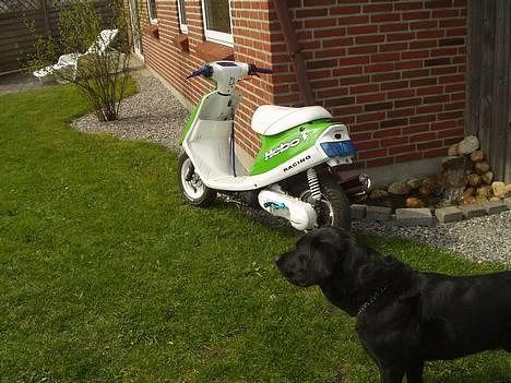 Yamaha Jog FS Kawa - Solgt - Min mega seje hund.. eller... billede 10