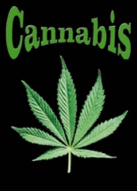 Yamaha 4 gear (solgt) billede 11