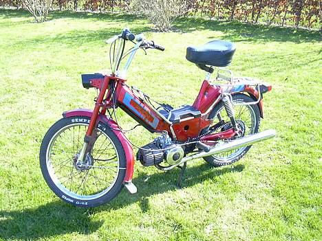 Puch Maxi KL - Den Skinner Sq billede 1