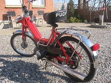 Puch Maxi k - Nice ass billede 2