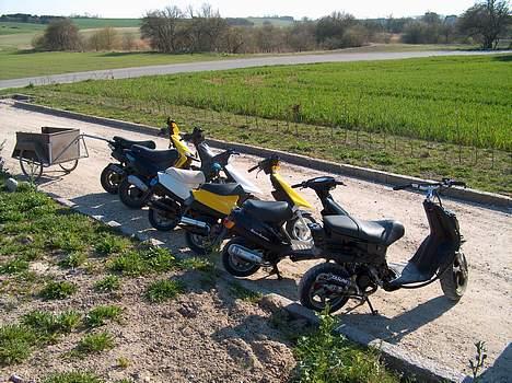 Piaggio NRG LC DD billede 9