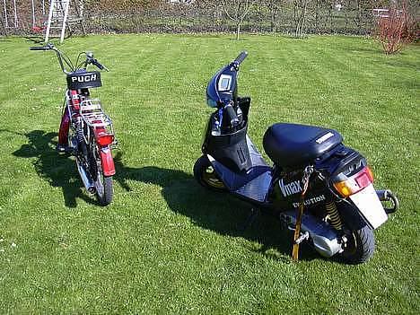 Puch Maxi KL billede 7