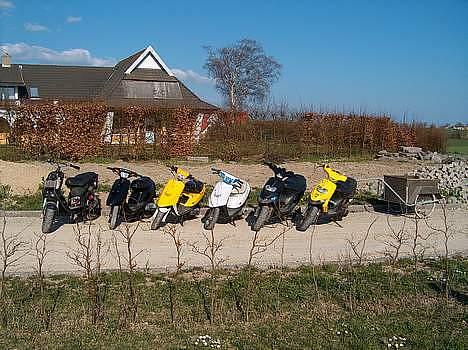 Gilera stalker byttet til jog - dele af teamet... billede 11