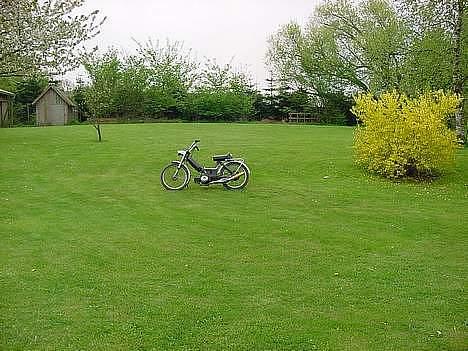 Puch Maxi 2g solgt billede 9