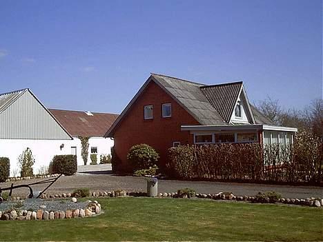 Gilera    Runner ( nye billeder) - runnerens hjem billede 9