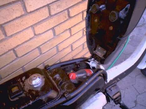 Suzuki Fz50 - "PinkPower" billede 7