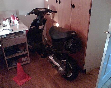 Honda SOLGT SFX solgt - Min komplette TPR jog :D woaw det rykkede billede 12