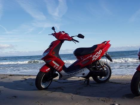 Peugeot wrc 206 || solgt || - Kreed billede 1