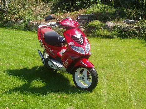 Peugeot wrc 206 || solgt || billede 8