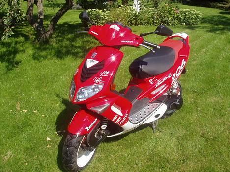 Peugeot wrc 206 || solgt || billede 11